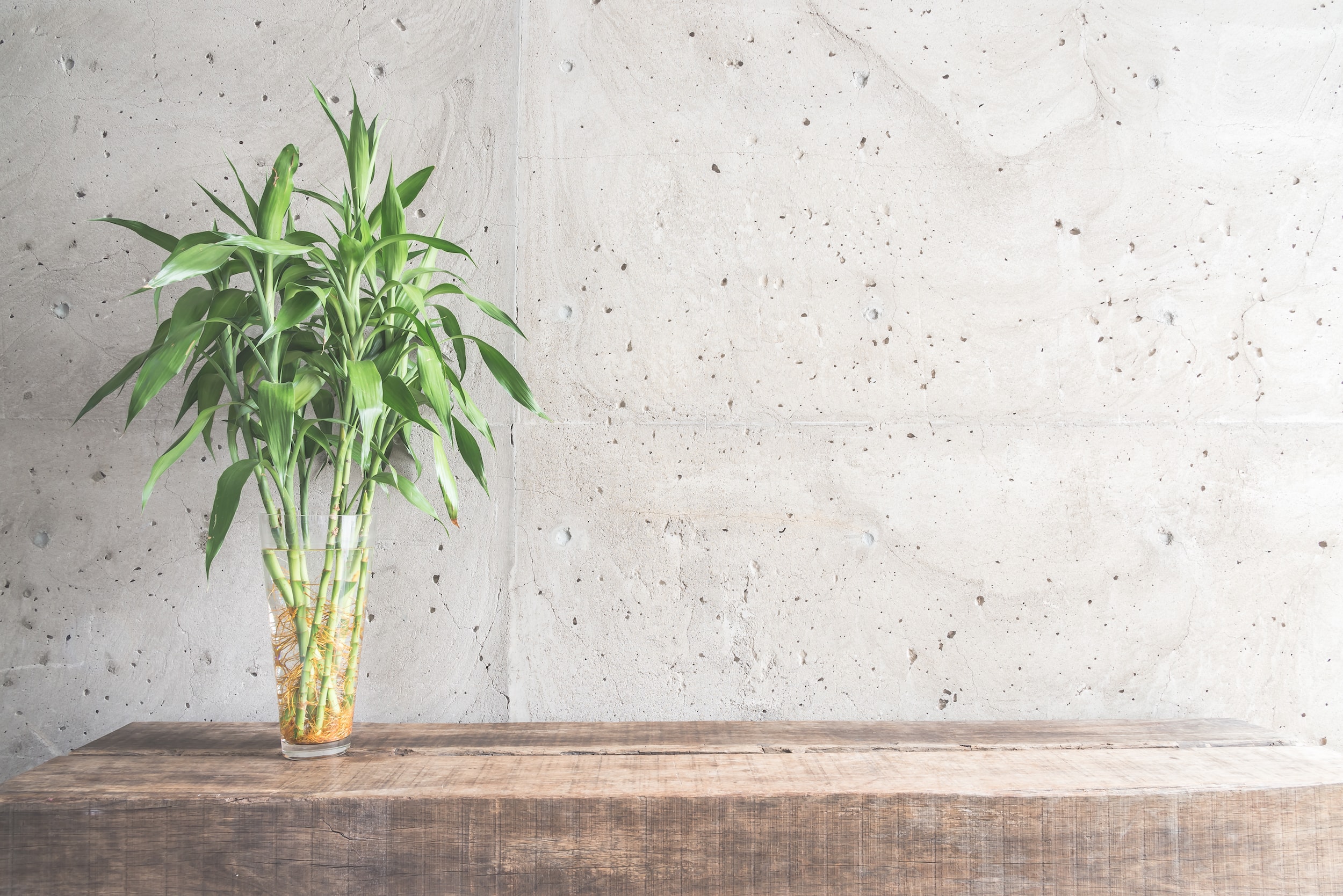 Services – Conciergerie Airbnb